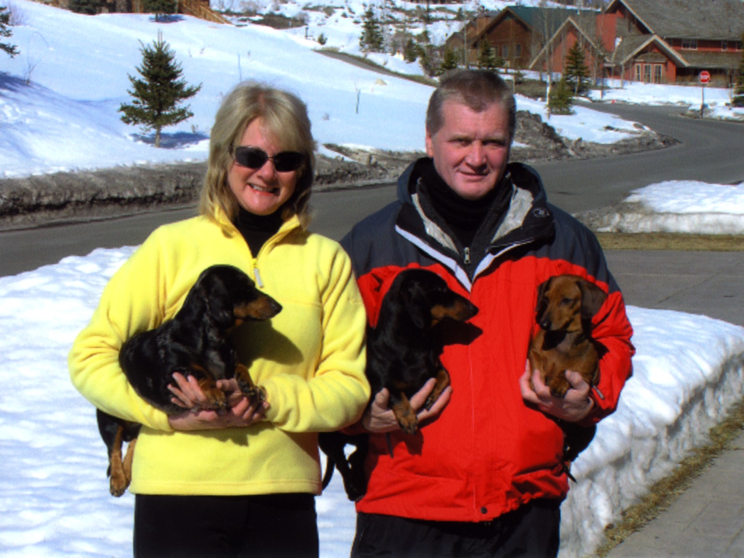 Ann and David Apple with their dachshund dogs
