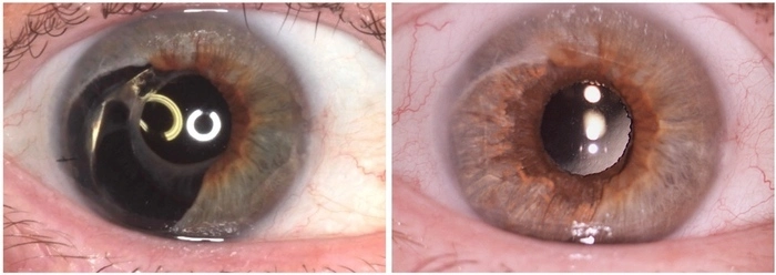 /assets/images/ai-figure