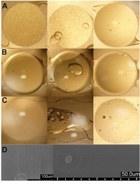 Oil and Lenses don't mix - Article thumbnail