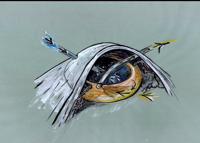 I/A Irrigation and Aspiration