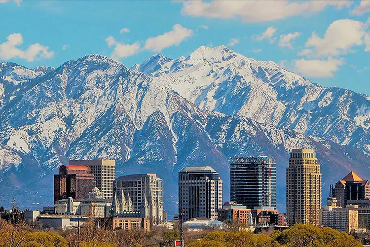 A Lab with history - Featured image