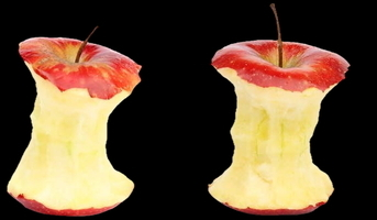 Two Apple cores - Article thumbnail