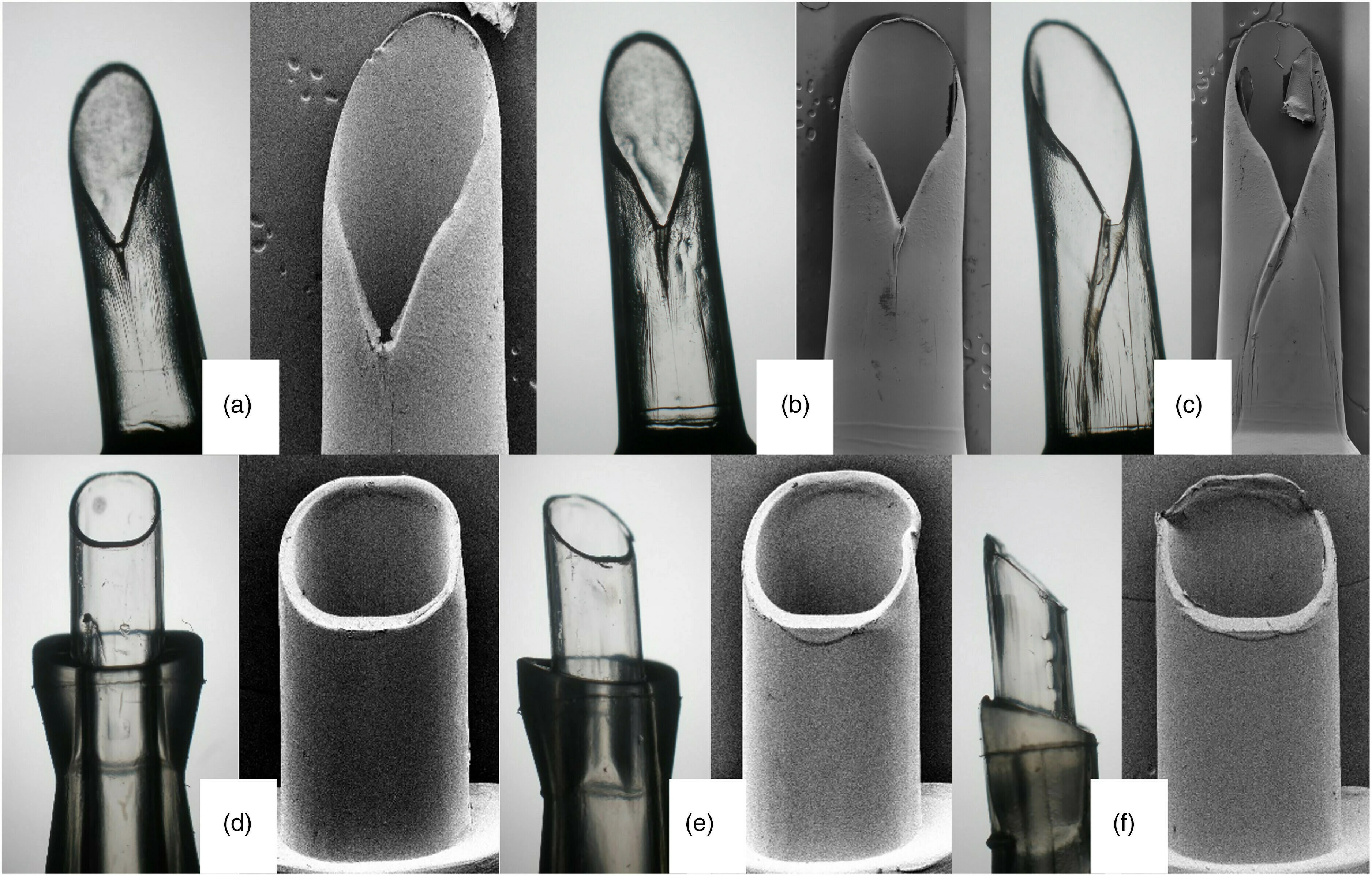 Comparing Multisert and AutonoMe. - Featured image