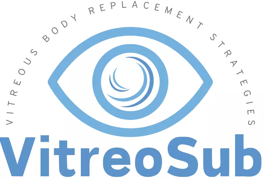 Team VitreoSub is a winner! - Featured image