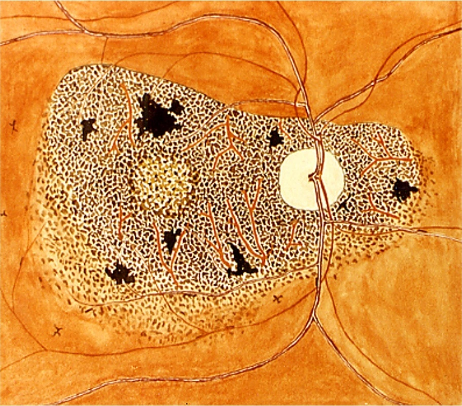 2025 - Good News! - Featured image